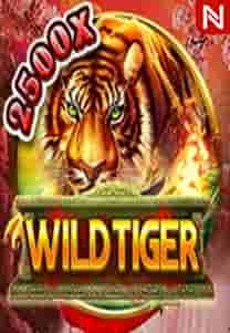 Wild Tiger